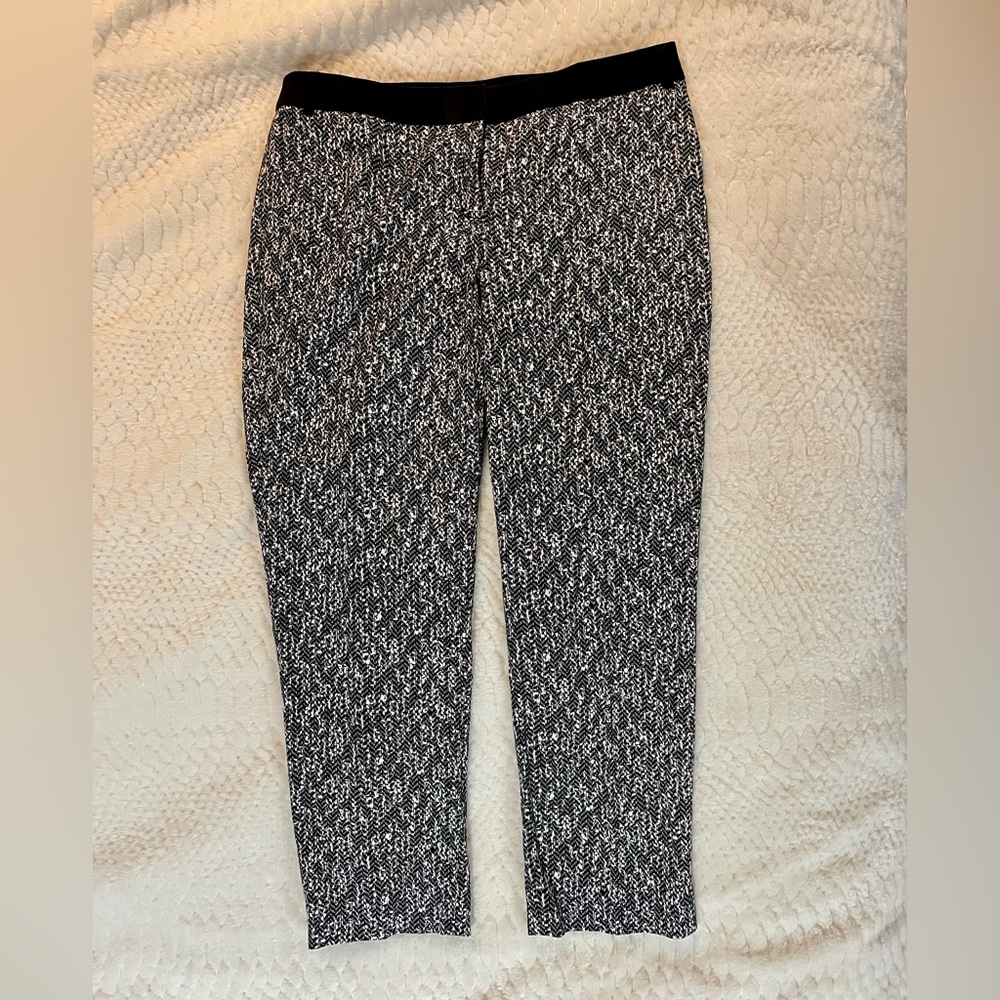 Express Editor Pants